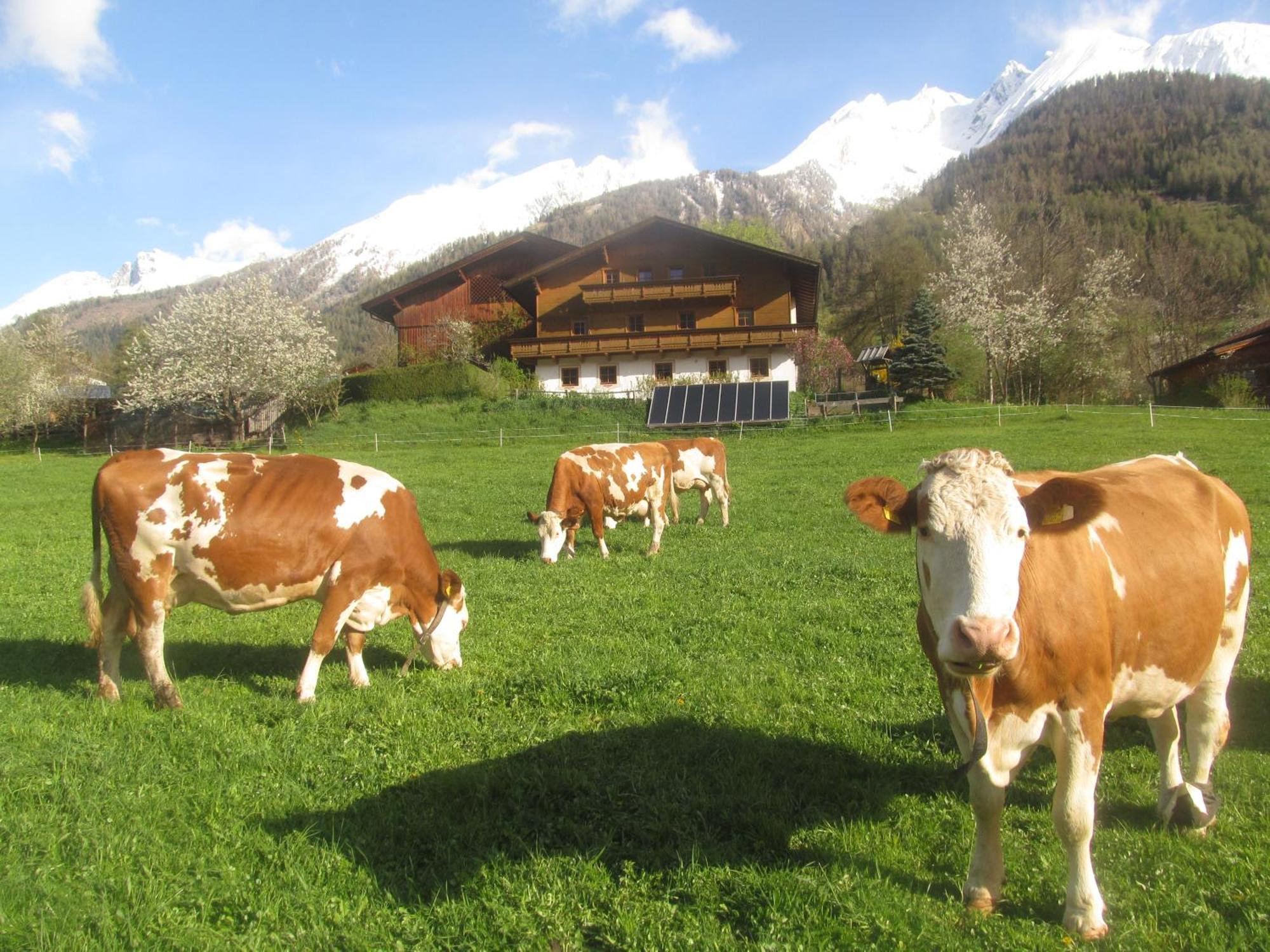 Villa Klampererhof Virgen Esterno foto